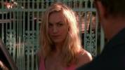 Chuck Dexter 